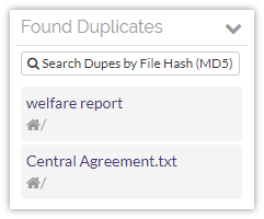 Find duplicates of the file