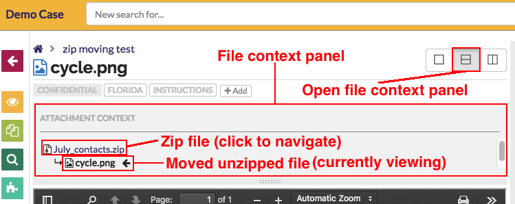 View and navigate between files in a file family